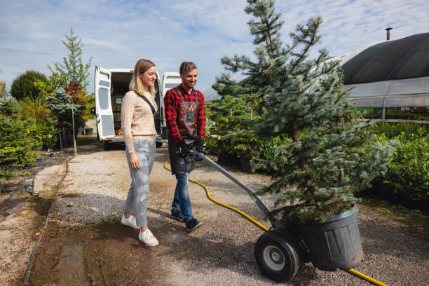 Best Palm Tree Trimming  in La Junta, CO